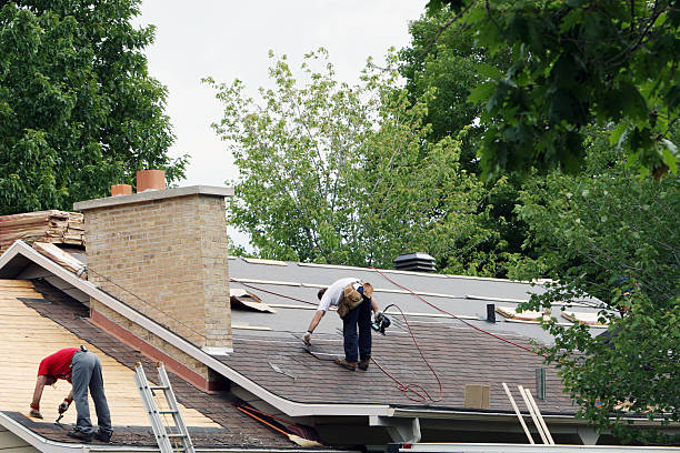 Best Local Roofing Companies  in Burke, VA