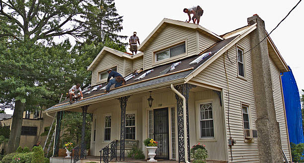 Best Metal Roofing Contractor  in Burke, VA