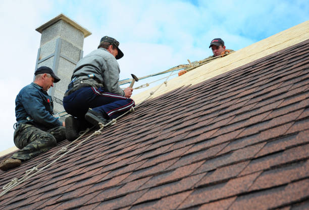 Best Roof Repair Services  in Burke, VA